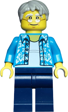 Beachgoer - Gray Male Hair, Glasses and Hawaiian Shirt