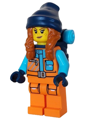 Arctic Explorer