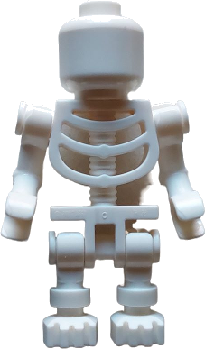 Skeleton