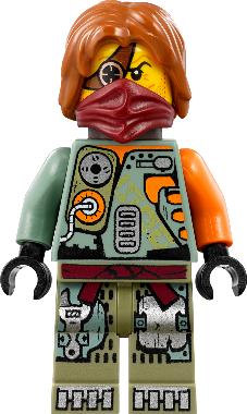 Ronin
