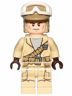 Rebel Trooper