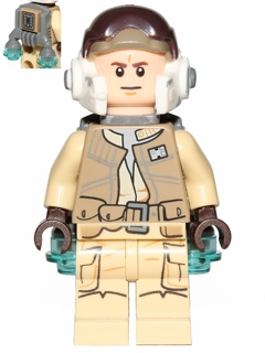 Rebel Trooper
