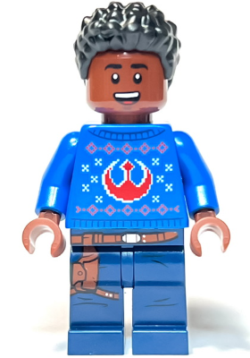 Finn in a Holiday Sweater