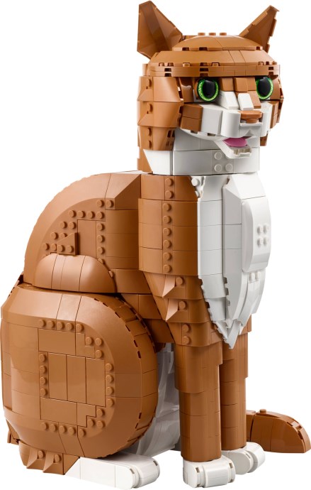 Orange Cat