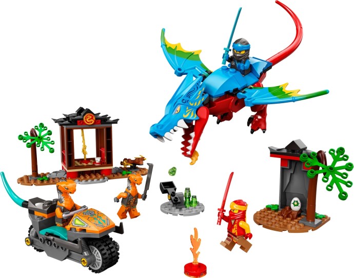 Ninja Dragon Temple